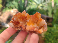 Natural Golden Solar Spirit Quartz Clusters x 12 From Boekenhouthoek, South Africa