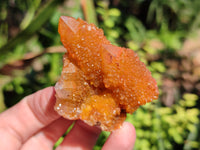 Natural Golden Solar Spirit Quartz Clusters x 12 From Boekenhouthoek, South Africa