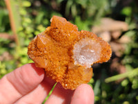 Natural Golden Solar Spirit Quartz Clusters x 12 From Boekenhouthoek, South Africa