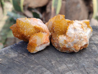 Natural Golden Solar Spirit Quartz Clusters x 12 From Boekenhouthoek, South Africa