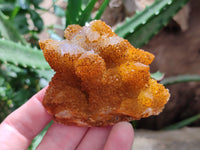 Natural Golden Solar Spirit Quartz Clusters x 12 From Boekenhouthoek, South Africa