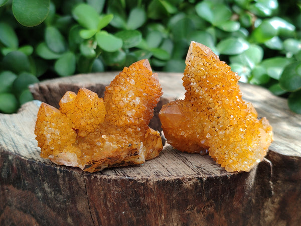 Natural Golden Solar Spirit Quartz Clusters x 12 From Boekenhouthoek, South Africa