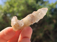 Natural Drusy Quartz Coated Calcite Pseudomorph Specimens x 35 From Alberts Mountain, Lesotho