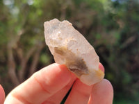 Natural Drusy Quartz Coated Calcite Pseudomorph Specimens x 35 From Alberts Mountain, Lesotho