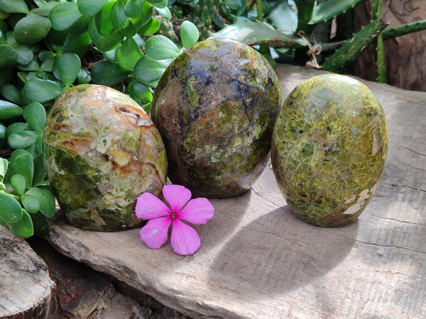 Polished Green Opal Standing Free Forms x 3 From Antsirabe, Madagascar