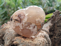 Polished Flower Agate Hearts x 12 From Antsahalova, Madagascar