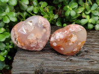 Polished Flower Agate Hearts x 12 From Antsahalova, Madagascar