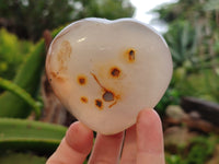 Polished Flower Agate Hearts x 12 From Antsahalova, Madagascar