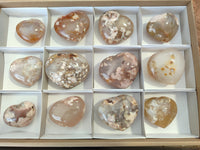 Polished Flower Agate Hearts x 12 From Antsahalova, Madagascar