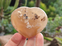 Polished Flower Agate Hearts x 12 From Antsahalova, Madagascar