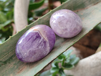 Polished Chevron Amethyst Palm Stones x 20 from Ankazobe, Madagascar