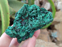 Natural Silky Malachite Specimens x 6 From Kasompe, Congo