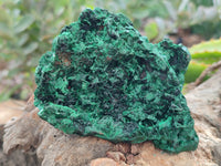 Natural Silky Malachite Specimens x 6 From Kasompe, Congo