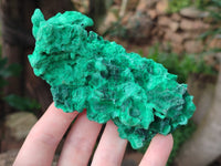 Natural Silky Malachite Specimens x 6 From Kasompe, Congo