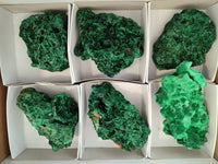 Natural Silky Malachite Specimens x 6 From Kasompe, Congo