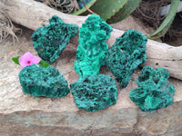 Natural Silky Malachite Specimens x 6 From Kasompe, Congo