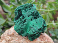 Natural Silky Malachite Specimens x 6 From Kasompe, Congo