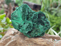 Natural Silky Malachite Specimens x 6 From Kasompe, Congo