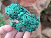 Natural Silky Malachite Specimens x 6 From Kasompe, Congo