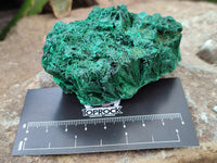 Natural Silky Malachite Specimens x 6 From Kasompe, Congo