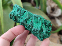 Natural Silky Malachite Specimens x 6 From Kasompe, Congo