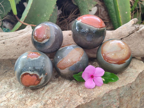 Polished Polychrome Jasper Spheres x 6 From Mahajanga, Madagascar