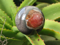 Polished Polychrome Jasper Spheres x 6 From Mahajanga, Madagascar