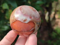 Polished Polychrome Jasper Spheres x 6 From Mahajanga, Madagascar