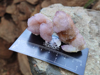 Natural Ametrine Spirit Quartz Crystals x 35 From Boekenhouthoek, South Africa