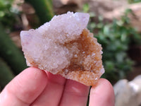 Natural Ametrine Spirit Quartz Crystals x 35 From Boekenhouthoek, South Africa