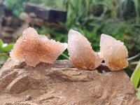 Natural Ametrine Spirit Quartz Crystals x 35 From Boekenhouthoek, South Africa