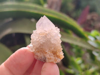 Natural Ametrine Spirit Quartz Crystals x 35 From Boekenhouthoek, South Africa