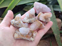 Natural Ametrine Spirit Quartz Crystals x 35 From Boekenhouthoek, South Africa