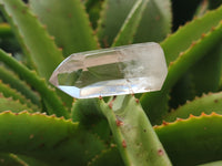 Polished Clear Quartz Crystals x 35 From Madagascar