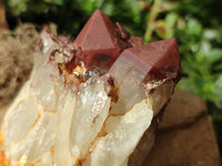 Natural Hematoid Quartz Clusters x 3 From Karoi, Zimbabwe