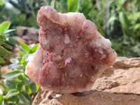 Natural Hematoid Quartz Clusters x 3 From Karoi, Zimbabwe