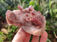 Natural Hematoid Quartz Clusters x 3 From Karoi, Zimbabwe