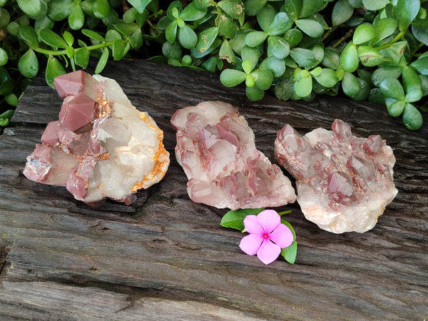 Natural Hematoid Quartz Clusters x 3 From Karoi, Zimbabwe