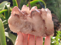 Natural Hematoid Quartz Clusters x 3 From Karoi, Zimbabwe