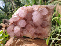 Natural Amethyst Spirit Quartz Cluster x 1 From Boekenhouthoek, South Africa