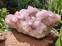 Natural Amethyst Spirit Quartz Cluster x 1 From Boekenhouthoek, South Africa