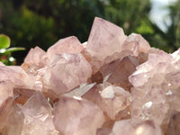 Natural Amethyst Spirit Quartz Cluster x 1 From Boekenhouthoek, South Africa