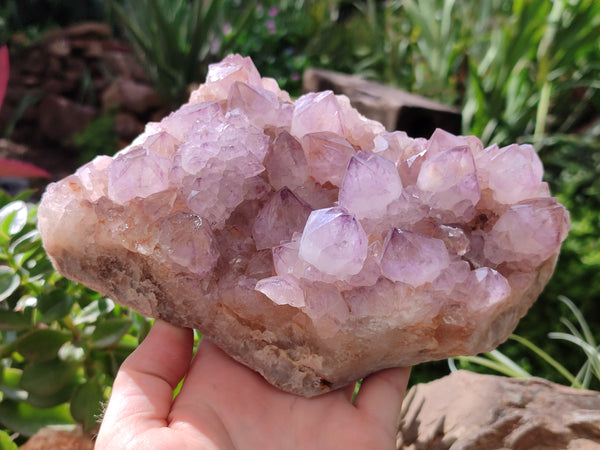 Natural Amethyst Spirit Quartz Cluster x 1 From Boekenhouthoek, South Africa