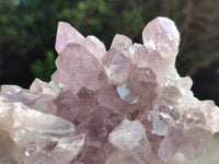 Natural Jacaranda Amethyst Quartz Clusters x 2 from Mumbwa, Zambia