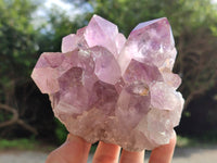 Natural Jacaranda Amethyst Quartz Clusters x 2 from Mumbwa, Zambia