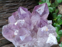 Natural Jacaranda Amethyst Quartz Clusters x 2 from Mumbwa, Zambia