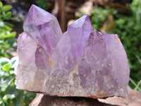 Natural Jacaranda Amethyst Quartz Clusters x 2 from Mumbwa, Zambia