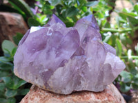 Natural Jacaranda Amethyst Quartz Clusters x 2 from Mumbwa, Zambia