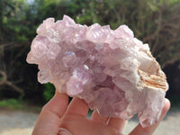 Natural Jacaranda Amethyst Quartz Clusters x 2 from Mumbwa, Zambia