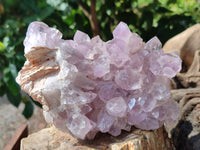 Natural Jacaranda Amethyst Quartz Clusters x 2 from Mumbwa, Zambia